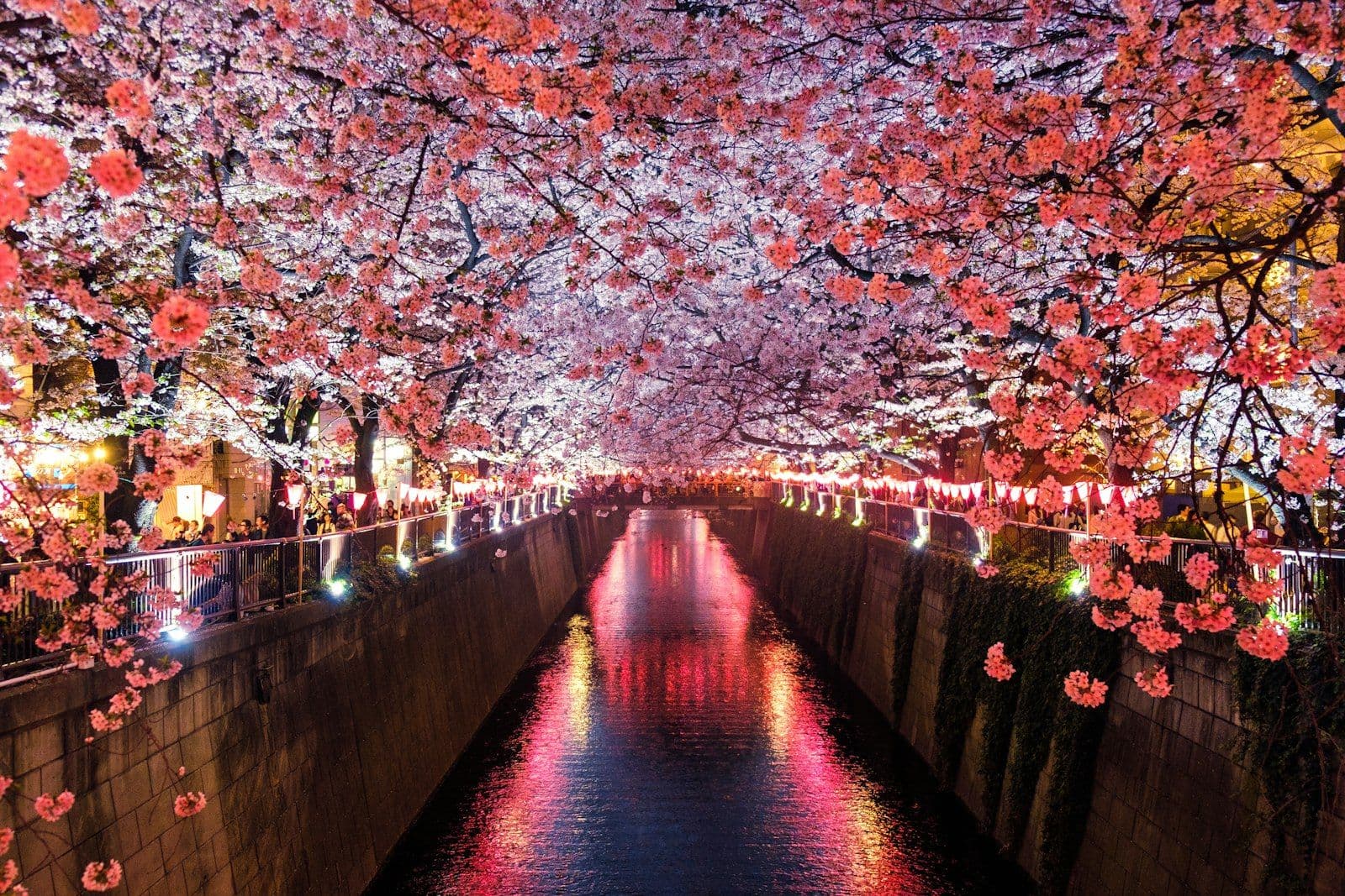 Kyoto in Four Days: Temples, Tea, and Quiet Neighborhoods